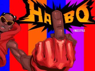 Blaqbonez – Haibo Freestyle