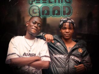 Zitz Zaborse Ft. Bhadboi OML - Feeling Good