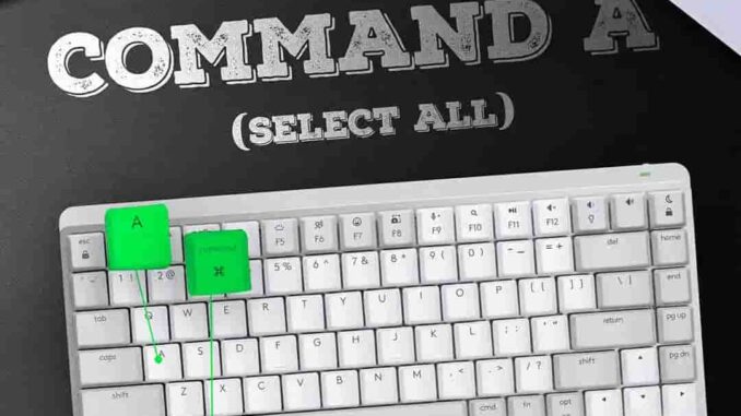 Shadykarz – Command A (Select All)