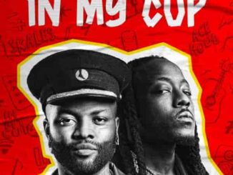 Skales – In My Cup ft. Ace Hood