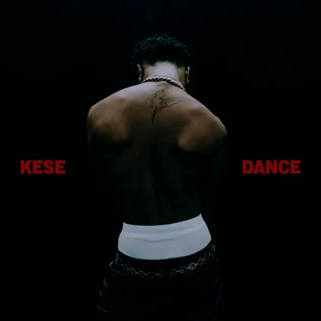 WizKid - Kese (Dance)